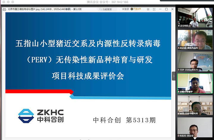 五指山小型猪近交系及内源性反转录病毒（PERV）无传染性新品种培育与研发1 anli.jpg